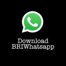 تحميل تطبيق بري واتساب مجانا” BRIWhatsApp APK v0.35 (أحدث إصدار رسمي) 2